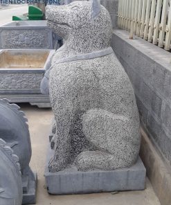 cho-da-06